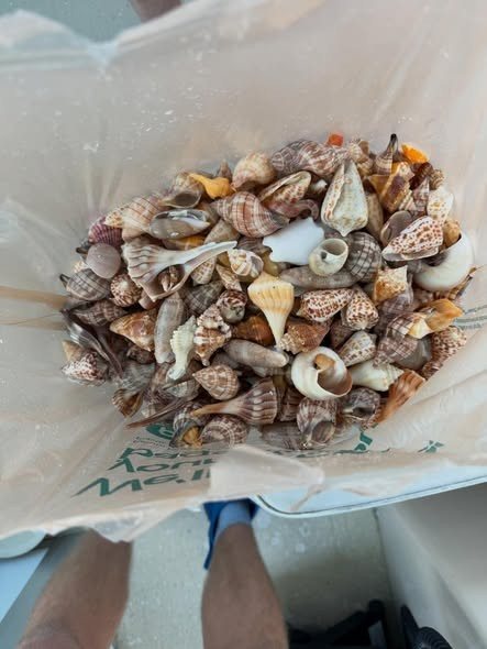 A day's shelling haul