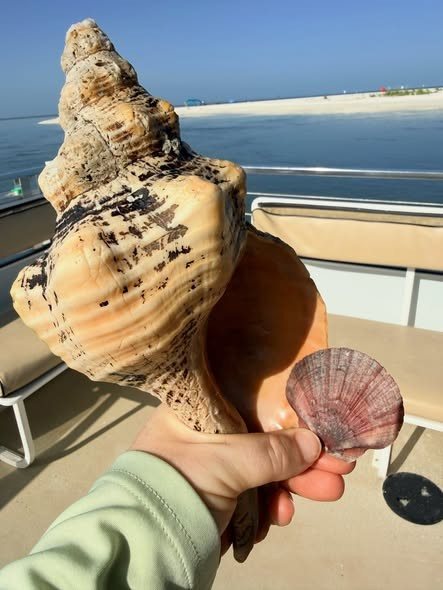 Shell found on Keewaydin